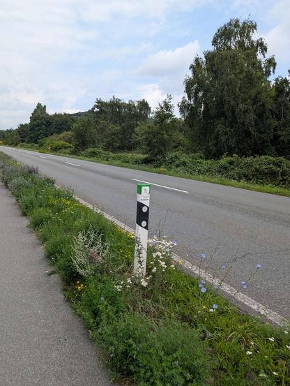 Landstraße mit Blühstreifen