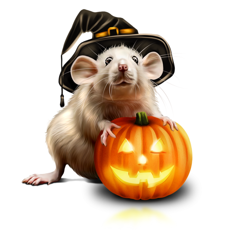 Dessin réaliste d'une souris portant un chapeau de sorcière, accoudée à une citrouille.