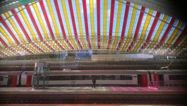 Station Luik-Guillemins. Architect Santiago #Calatrava.