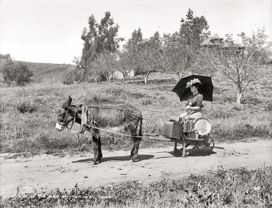 Eenpersoons reiswagen met een mens erop en een ezel er voor