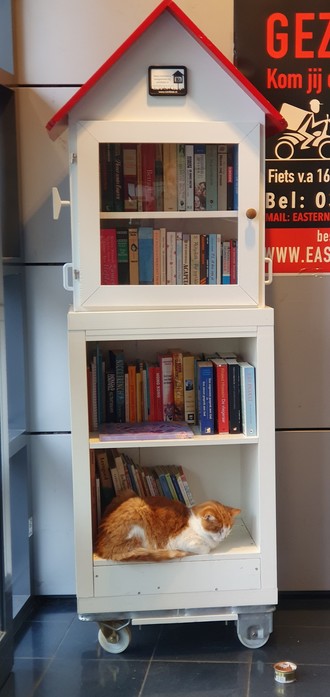 A mini library with 3 shelves of books and one shelf of cat