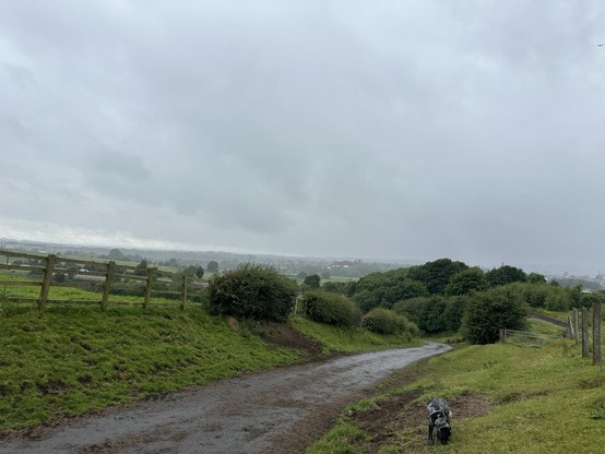 View from a hill over the Roch Valley, a road running down the steep slope, grass verges and wire fences on either side, a cocker spaniel on the right hand verge, a rainy squall coming down across the valley