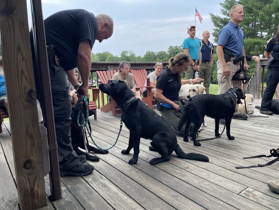 Three very good boys (black Labrador retrievers sit and stand near their partners on a wooden deck with people around. 