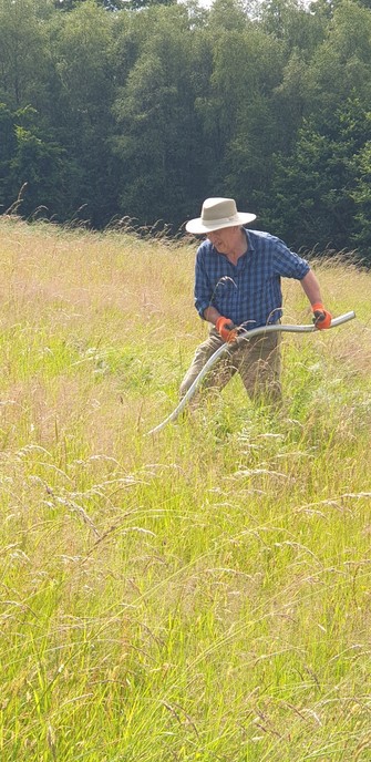 A man in a beige hat, blue check shirt, green trousers and orange gloves in knee high grasses with a scyth