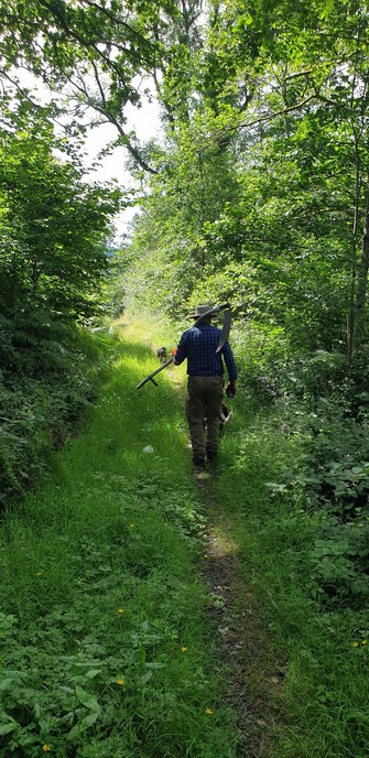 A man walking away from the camera down a shady green lane with a scythe over his shoulder and his dog ahead if him