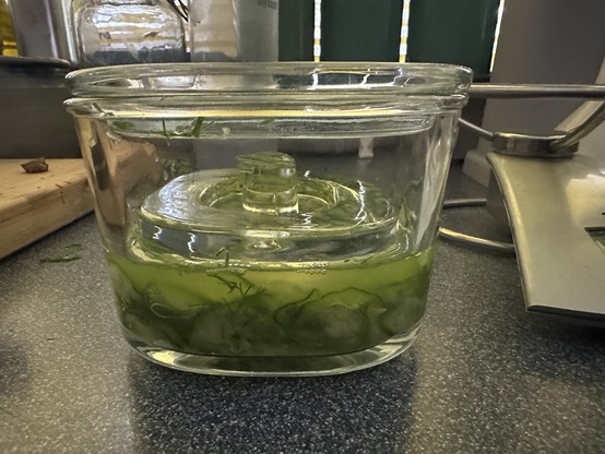 Glazen tsukémonopers met een komkommer in plakjes erin.