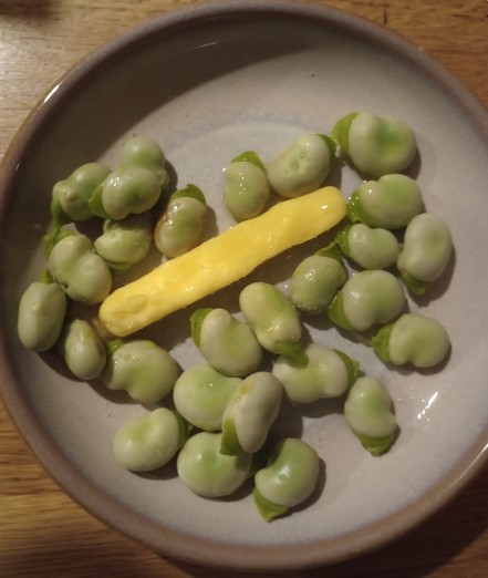 A very small plate of cooked baby broad beans, with a general slice of butter starting to melt. 
