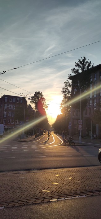 Photo of the sun setting in Amsterdam east, where the street en tramrails verge towards the horizon and thus the sun in the middle of the picture. The tramrails catch the light, trees and humans are silhouettes.