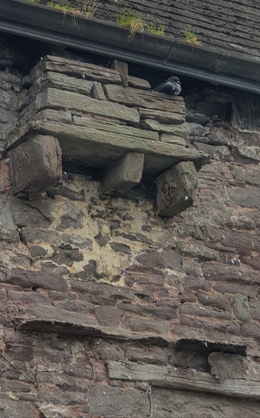 A pigeon under the eaves of a building. The roof and guttering is modern but the building of grey stone must be old. From the wall protrudes 3 irregular stones and on those is a flat stone covering them like a shelf. On that shelf are about 4 courses of flat shaped stones of various sizes. On the top at one end is the pigeon. Might it be the remains of a weirdly protruding chimney? Was there a door in the roof for a warehouse or even another floor? I don't know.