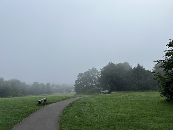 Parkland, viewed from the top of a hill, mist at the bottom of the hill with nothing visible in the fog