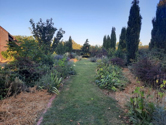 The Strip area of the garden already in the shadow of sunset.