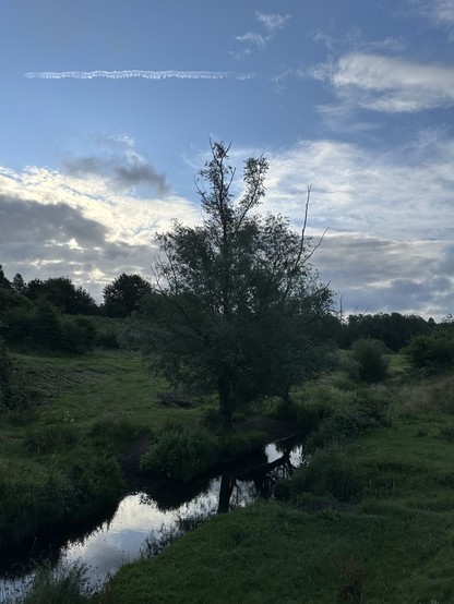 A willow tree beside a brook in a green tree lined valley beneath a blue sky with sun shining through clouds behind the tree