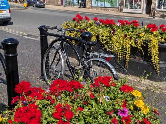 A bike locked to a chonky cast iron (?) bike rack that is more like a bollard or fancy gate. There are planters around full of colourful flowers.