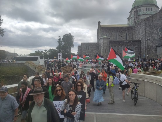 Palestinian flags, lots of people gathering for a rally