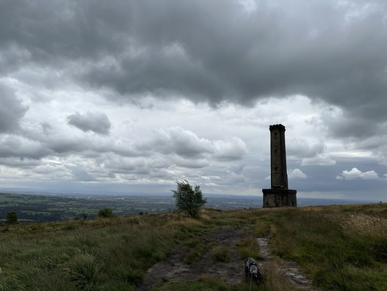 A stone tower high on top of a moor, a tree beside it on the skyline, clouds overhead, a cocker spaniel walking toward the camera in the foreground 
