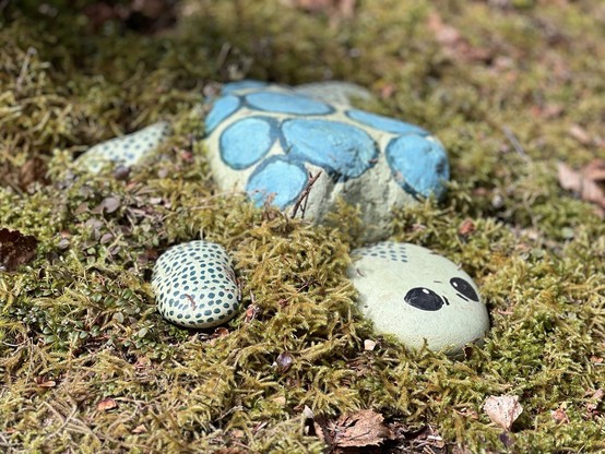 Painted stones arranged like a turtle are nestled in moss on shaded ground. The rock representing the body is the largest, painted light green with sky blue ovals with dark green outlines. The head rock is in front with two black dots for eyes. Three smaller rocks have many small blue dots, each representing a leg. There is a small divot on the front right where one leg rock is missing. The moss is yellow green with some brown dried leaves interspersed. The focus is sharp forthwith head a front leg, with a gentle blur further back. [Garnish (NL, Canada), April 2024]