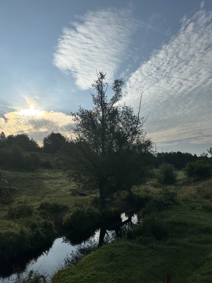 A willow tree beside a brook in a green tree lined valley beneath a blue sky with banks of wispy clouds, the sun peeping over one to the left of the tree