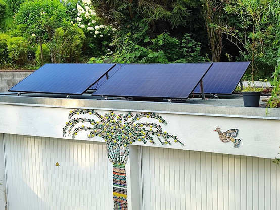 Foto Solarmodule auf einem Garagendach 