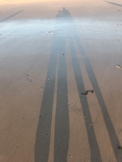 Sehr lang gezogener Schattenwurf von zwei Personen auf Sandstrand 
