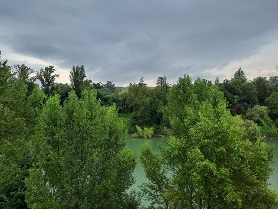 Green trees growing along a bright green river, with overcast skies above.