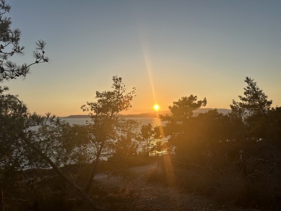 Sunset over a wide bay, taken from a wooded slope on the near coast as the sun sets over the far shore