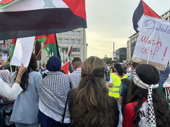 Photo of protestors from back, Palestine flags and some posters