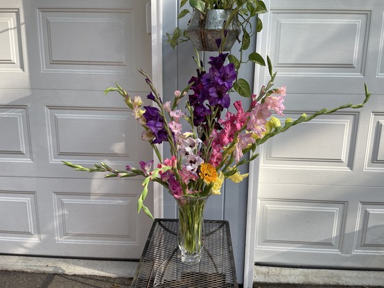 A glass vase sits on a black metal mesh table against a thin blue wall between two white doors. The vase is filled with gladiolus stems with large colorful flowers in purple, pink white and yellow. A single orange zinnia is nestled at the base and a metal hanging basket with a green vining houseplant is above. 