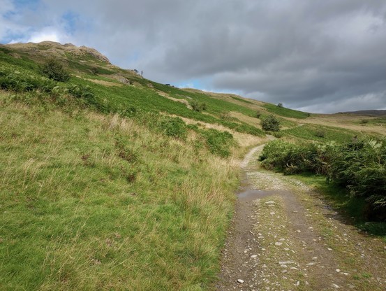 A gently climbing gravel lane curves up an empty valley, the sky a mix of clouds and patches of blue. The bracket is bright green, grasses yellowing in mid-August. On the skyline, a small group of black horses stand outlined.