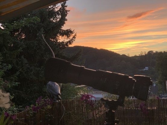 A camera with a long telephoto lens set up on a tripod, pointing towards a sunset over a hilly landscape with scattered houses, trees, and a partially cloudy sky.