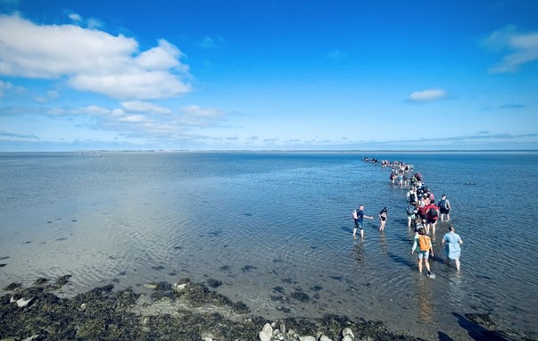 Group of people walking through shallow water towards the horizon under a clear blue sky.