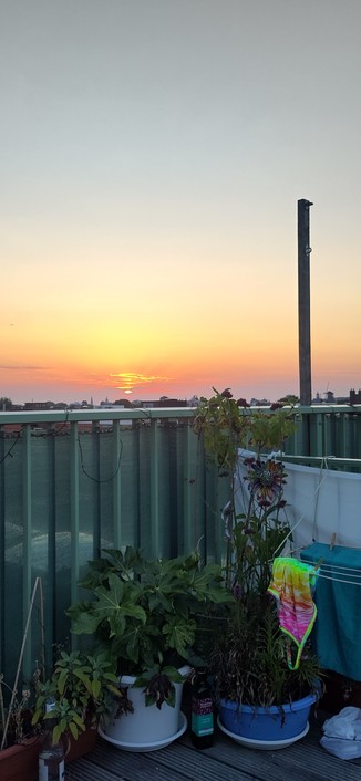 Sunset over Amsterdam, picture taken from a roof terrace with some plants and a towel and bathing suit drying.