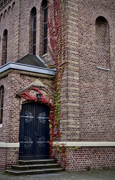 A brick wall with tall windows, featuring an ornate black wooden door adorned with decorative metalwork, surrounded by vibrant ivy climbing the wall in shades of red and green. The door is set on a small stone staircase leading up from a cobblestone path