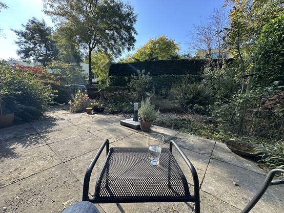 Tuin met terras, bijzettafel met glas, veel planten, blauwe lucht, zon.