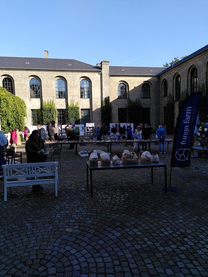 World Fungus Day - 2024
svampefestival, Frederiksberg, København/Copenhagen 