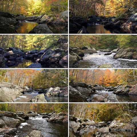 Eight horizontal views of the same stretch of river, in two side by side vertical columns. The river is bounded by water rounded boulders and flows over a very small rocky ledge forming a waterfall. Deciduous trees line the bank beyond the boulders and the bend above the waterfall. A pointed triangular stone rises in midstream in the foreground of most images. 
Top left: October 4, 2013 water is low, trees yellow and green with some orange and red, shady. 
Top right: October 15, 2015 bright sun illuminates the trees in the distance and to the right, the low water is still and in shadow. 
Second row down, left: Oct. 5, 2016 bright sun hits the mostly yellow and green trees in the back, rocks and water in. Shadow, water very low. 
Second row down right: Oct. 8, 2018. Highest water of all photos, filling width of river, churning rapid over rocks with a lot of dirty white foam. Trees still mostly with leaves, some yellow and orange. 
Third row down, left: Oct. 15, 2021. Water up but not as high as 2018, many trees bare already, sunny, blue sky peeking through, yellow and orange leaves. 
Third row down, right: Oct. 16, 2022
Even light showing water, trees and rocks fully, lovely orange and yellow colors in trees, some bare. 
Bottom row, left: Oct.15, 2023
High water, not quite at 2018 level, even light, green and orange color. 
Bottom right: Oct. 4, 2024. Bright, so bend beyond waterfall in shadow water very low, some trees bare, some orange some still green. 