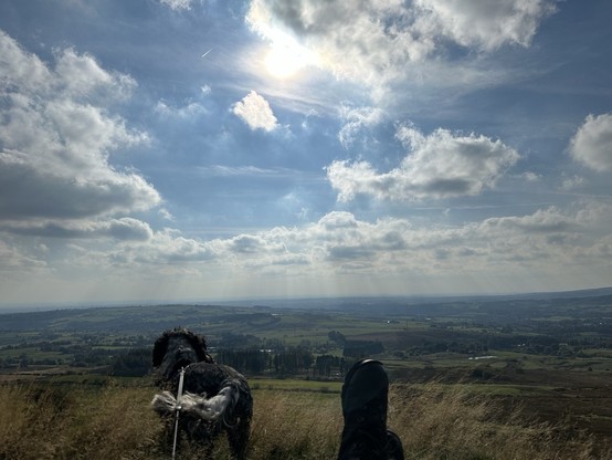 Moorland view, looking out across a wide valley from high on a moor, a cocker spaniel looking out while standing next to the photographer’s hiking boots; overhead sun shines down behind fluffy clouds in a blue sky