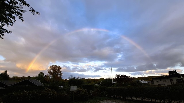 Aarhus, a park with garden allotments. Bottom dark green hedges and trees and wooden allotment sheds in shadow just before the early evening sunset. Curving above them through grey clouds in a pale blue darkening sky: a huge thin perfectly arched rainbow, mostly yellow, but the spectrum of colours showing at the left edge.