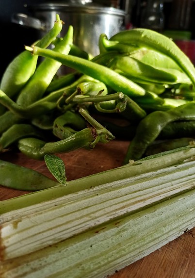 A couple of stripped cardoon stalks and some green beans on a chopping board. Stock pot on the hob in the background.