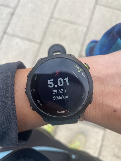 A Garmin smartwatch displays running statistics: a distance of 5.01 km, a total time of 29:42.7, and a pace of 5:56 per km. The background shows a light-colored pavement.