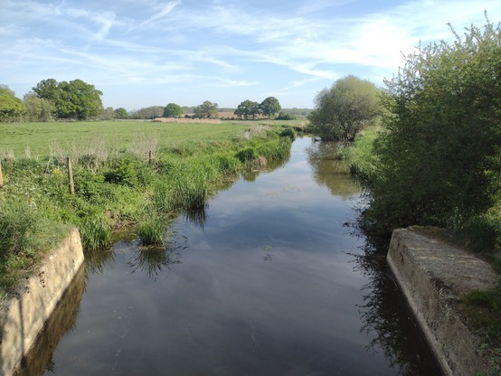 A pastoral scene from a bridge over the river Adur in #WestSussex, England. Hedgerows and solitary trees in the midfield. Blue sky with wispy clouds.