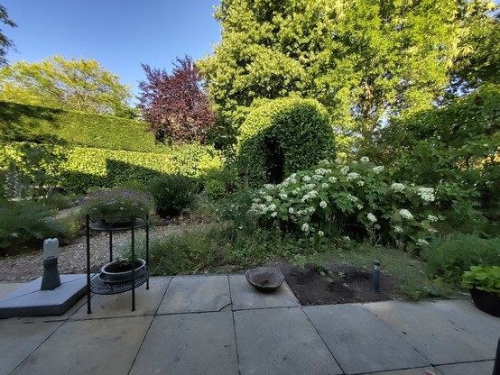 ochtendtuin