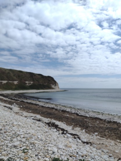 Chalk pebble beach, cliffs above capped by a grassy headland. Grey cloudy sky.