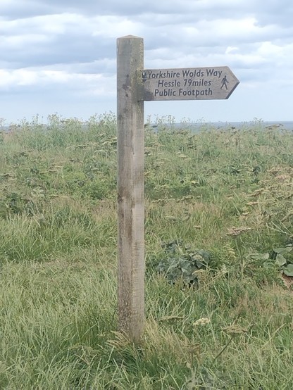 A finger post against grassy moorland and blue grey cloudy sky