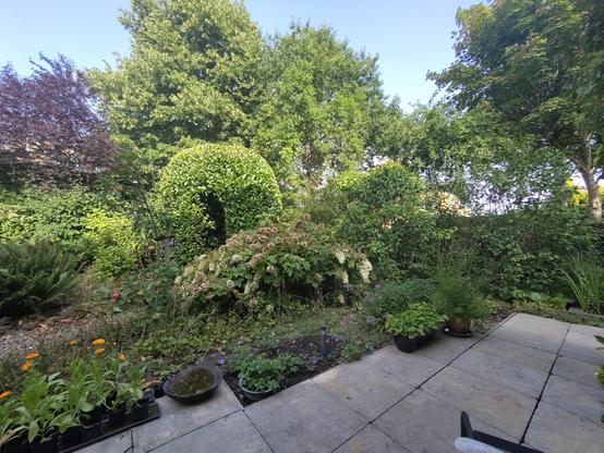 tuin, in westnoordwestelijke richting.