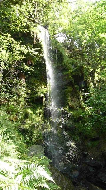A waterfall in a green wooded ravine