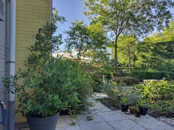 tuin links