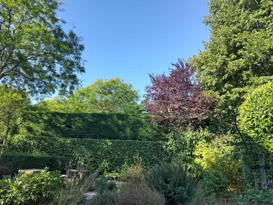 tuin links midden