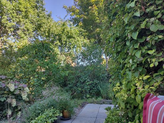 tuin rechts