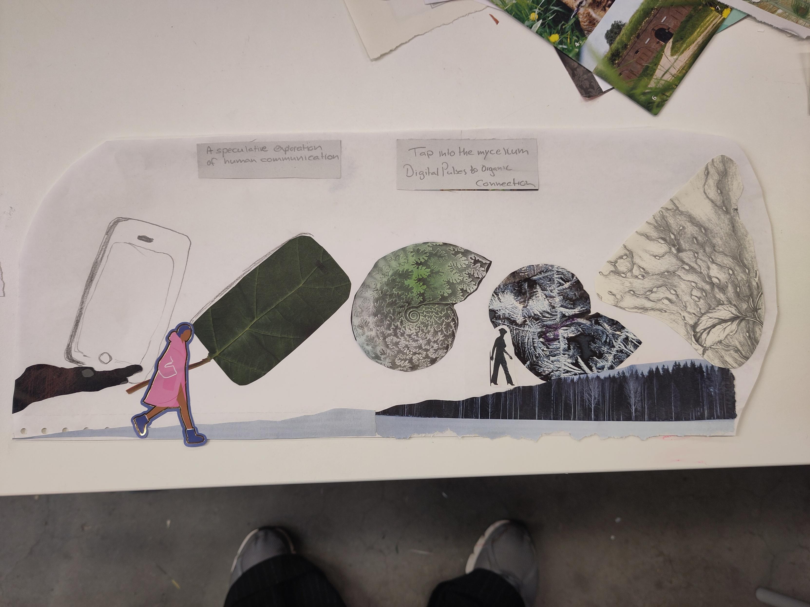 Drawing/ collage 
Timeline of a mobile phone, leave , shell , foliage, mycelium