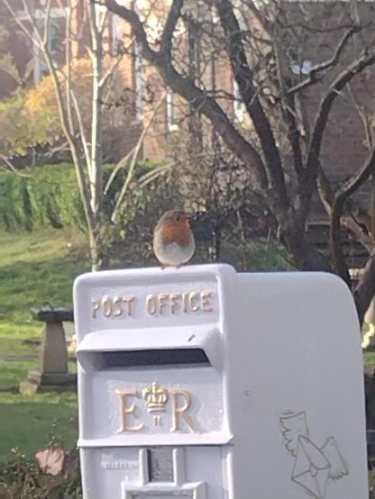 A robin standing on top of an off white painted post box. Grass and a wintry tree on the background.